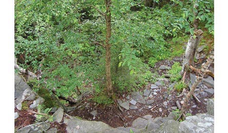 JChrzanowski DevilsPath Bjk445x260.jpg 31818 JChrzanowski_DevilsPath_bjk445x260.jpg