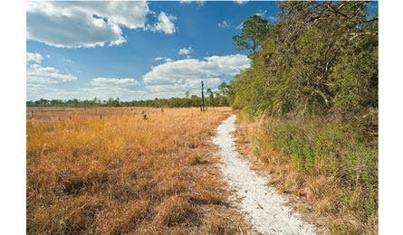 Rezendes D-SPFL5 Bjk445x260.jpg 31828 Rezendes_D-SPFL5_bjk445x260.jpg