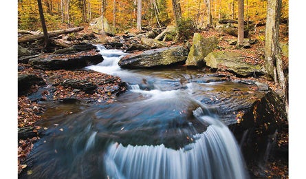 RickettsGlen 17033835S Bjk445x260.jpg 31816 RickettsGlen_17033835S_bjk445x260.jpg