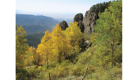 Sandia 1177 Bjk445x260.jpg 31798 Sandia_1177_bjk445x260.jpg
