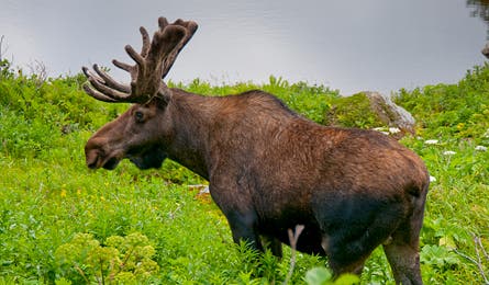 10Gros_STH5995_445x260