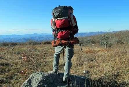 Firefly4 445x300.jpg 31982 firefly4_445x300.jpg