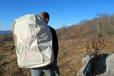 Firefly9 445x300.jpg 31987 firefly9_445x300.jpg