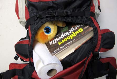 Irefly8 445x300.jpg 31986 firefly8_445x300.jpg