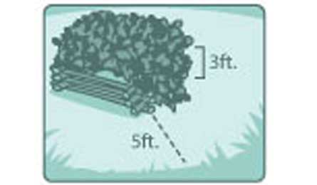 Build an emergency fire. (by Supercorn)