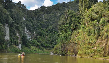 Whanganui River, North Island (Michael Lanza)