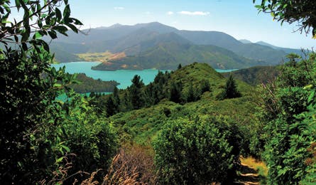 Queen Charlotte Track, South Island (Scott Bischke)
