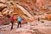 CapitolReef_Bundle_sm None