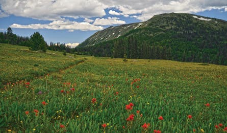 Goodenough Peak (Andy Porter)