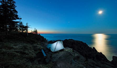 May2012 Seaver FairyHead 445x260.jpg 37450 May2012_Seaver_FairyHead_445x260.jpg