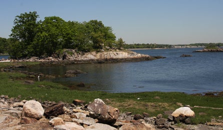 445x260 Mackenzieryan-orchardbeach-twinisland 33014 Orchard Beach-Twin Island Loop, NY (Photo by MacKenzie Ryan)