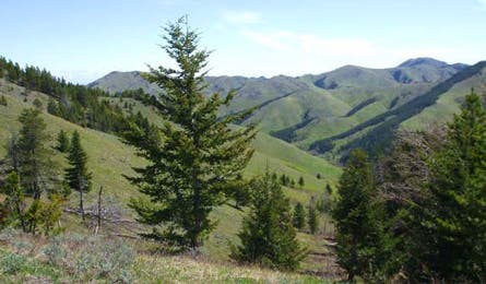 Windy Mountain Loop, MT (Photo by Stacey Thurlow)