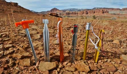 Tentstakes5 32991 How to Select Tent Stakes