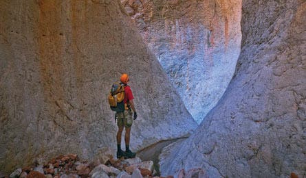 BP0612_Ransom_LookingUp_445x260