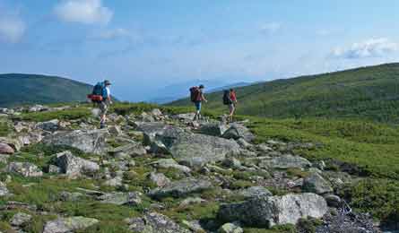 BP0612INSID LDensmore 445x260 37689 BP0612INSID_LDensmore_445x260