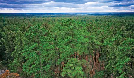 "BP0612TRIPE_Till_BatonaTrail_445x260.jpg"