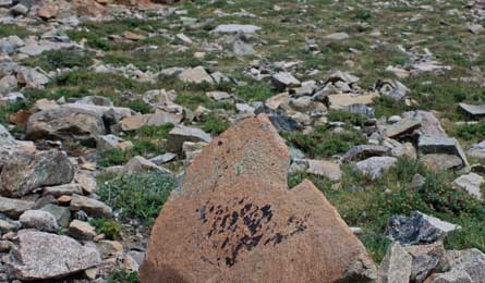 Courtesy Stubbs445x260 37382 Courtesy_Stubbs445x260