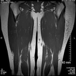 Courtesy4_Stubbs445x260