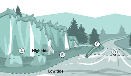 final_Survival_445x260