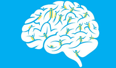 hiking_makes_smarter2_445x260