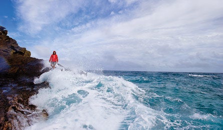 KillerWave 446x26 37363 KillerWave_446x26