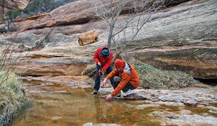 May2012_KwakH_CampingCure_445x260