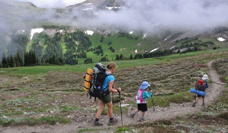 Mist_WonderlandTr_Berkeley_445x260