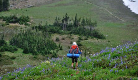 Nate_WonderlandTr_Berkeley_445x260