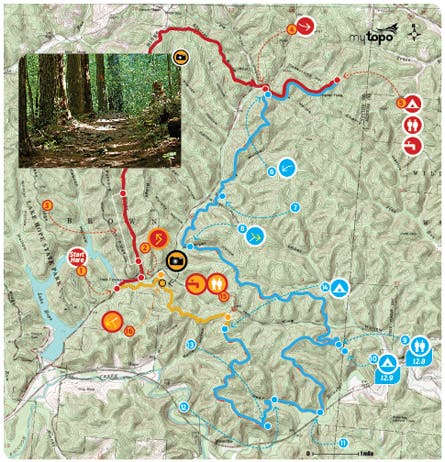 ripgocentral_445x462 None