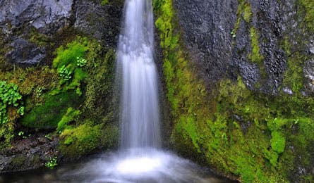 Waterfall_WonderlandTr_445x260
