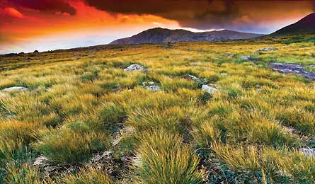 Aug12_Rezendes_WashingtonSU117_445x260