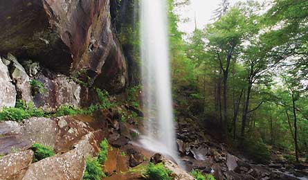 Aug12_shutterstock_Rainbow_445x260