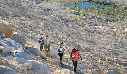 Aug12 Werner Newarmy 445x260 38213 Aug12_Werner_newarmy_445x260