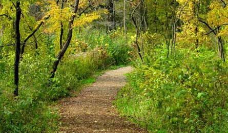 BP0612 Butterfield HeritageTrail 445x260.jpg 37796 BP0612_Butterfield_HeritageTrail_445x260.jpg