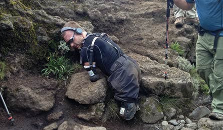 BP0612_Maynard_Decending_445x260