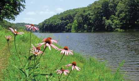 BP0812TRIPC FF Harrison LakeTrail 445x260 37971 BP0812TRIPC_FF_Harrison_LakeTrail_445x260