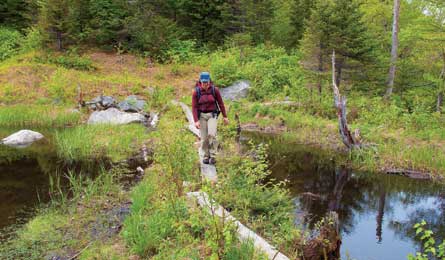 BP0812TRIPE_FF_Broudy_LkMansfield2_445x260