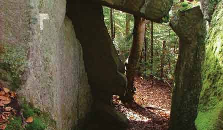 BP0812TRIPE_FF_Chow_Appalachian_445x260