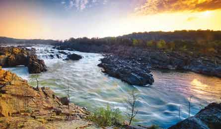 BP0812TRIPE_TM_Blackley_Greatfalls_445x260