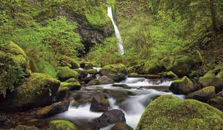 BP0812TRIPW_TM_Donnelly_445x260