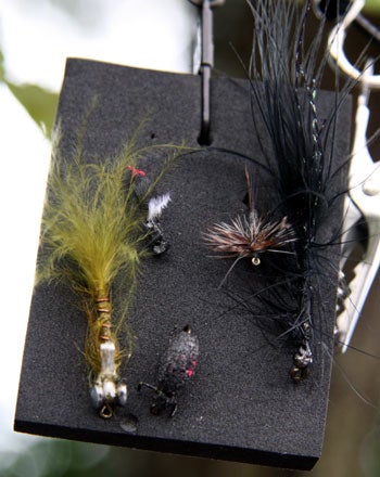 Flies 37759 flies