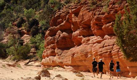 G2G Ultra/grand2grand_3_445x260