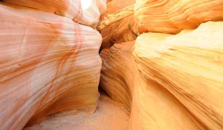 grand2grand_2_445x260