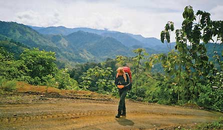 Sept12 Bushby RedPack 445x260 38114 Sept12_Bushby_RedPack_445x260