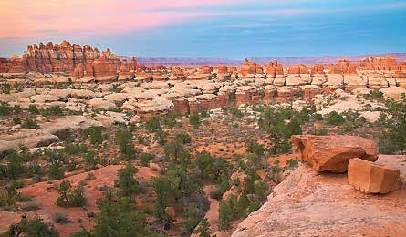 Sept12 Farlinger NeedlesUT 445x260 38274 Sept12_Farlinger_NeedlesUT_445x260