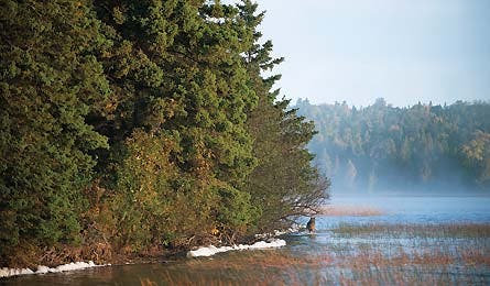 Sept12_Kennedy_IsleRoyale_5537_445x260