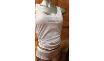 Terramar's Hottottiesâ underwear combine function and form