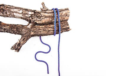 Knot-1 445x260 38223 Wrap the rope around the logs two times.