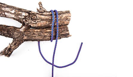 Bring the working end of the rope underneath the standing end.