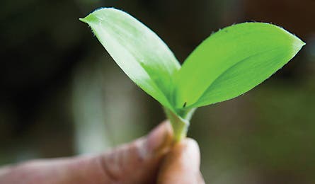 Oct12_Hanson_311_445x260